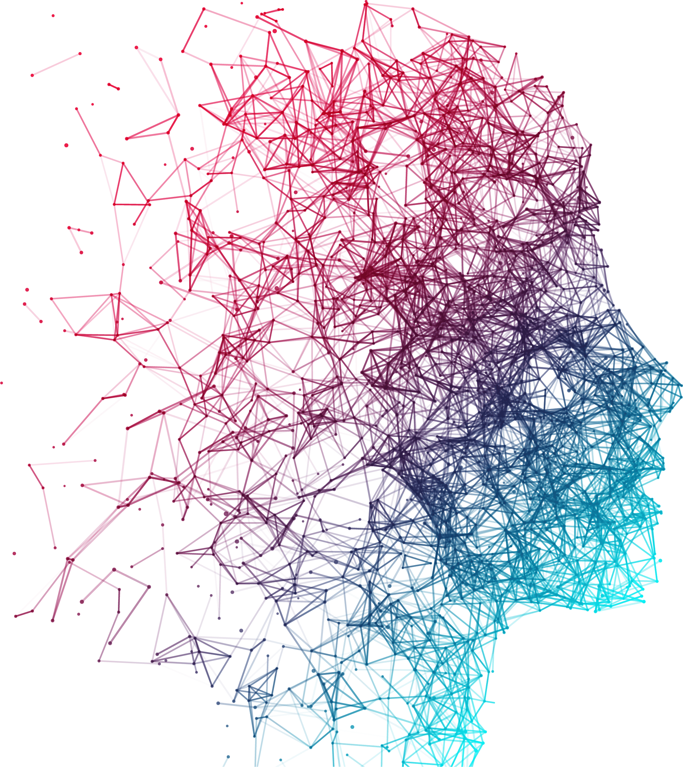 Neural Network Visualization